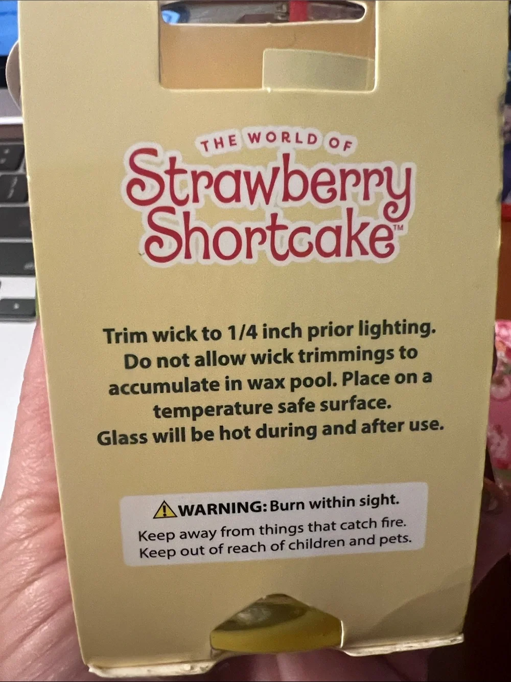 #2582* Pink Brush & Claw Clip Set & The World Of Strawberry Shortcake Candle